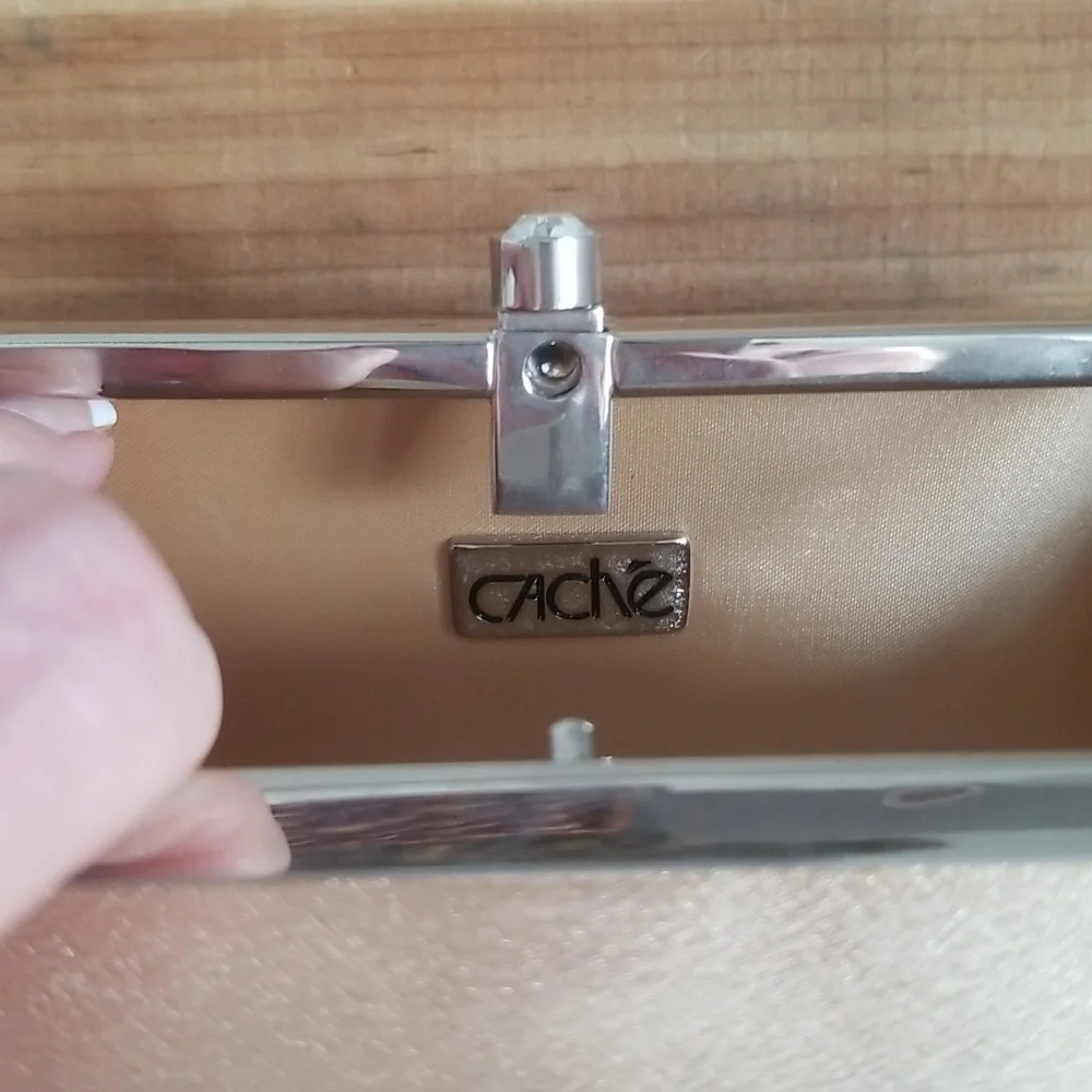 Cache Evening Bag - Picture 4 of 10